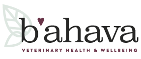 B'ahava Veterinary Health & Wellbeing