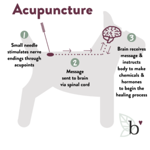 Overview graphic of acupuncture